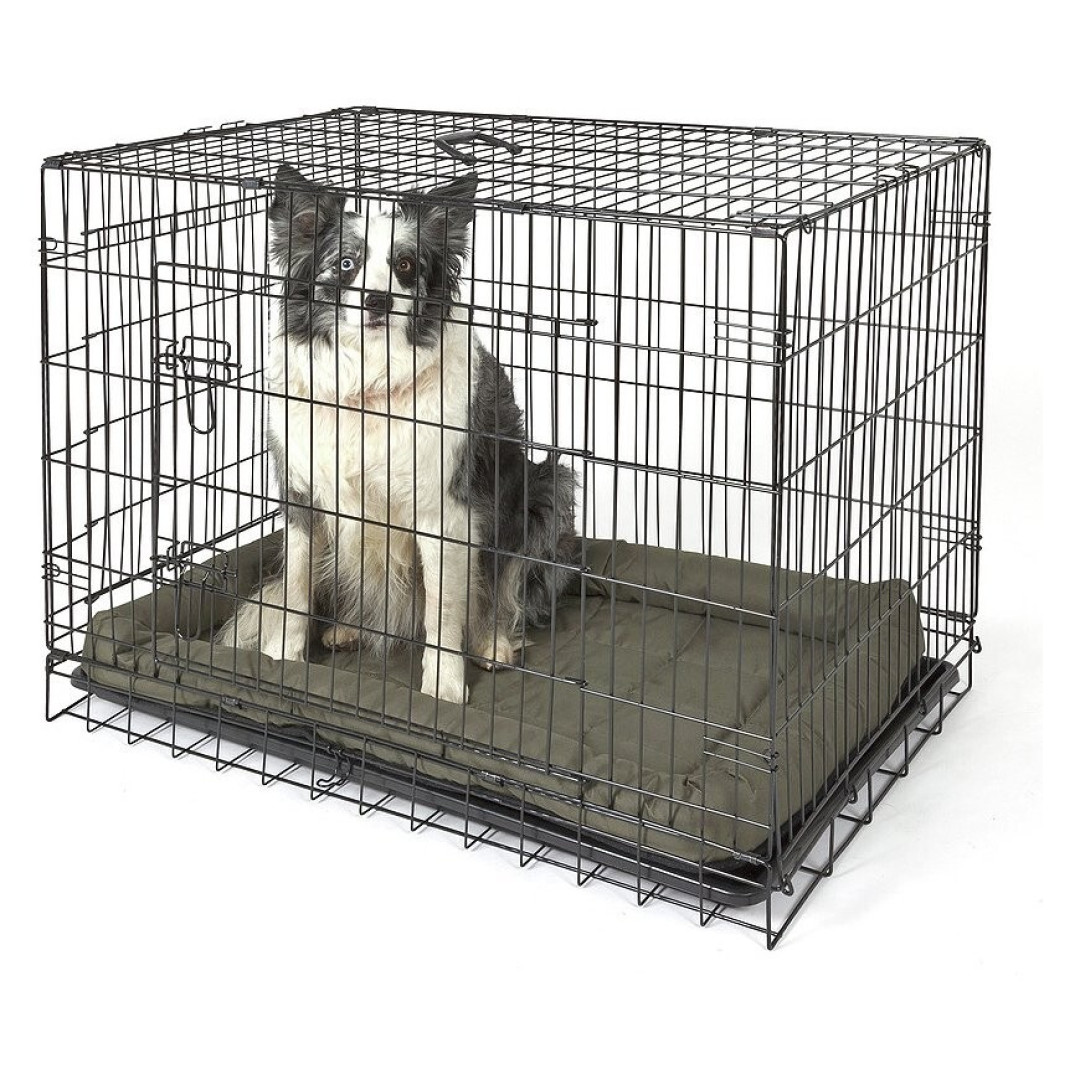 Double Door Dog Crate- Large | Pet Cage Kennel for Home Large Breed Dogs Double Door Dog Crate- Large | Pet Cage Kennel for Home Large Breed Dogs
